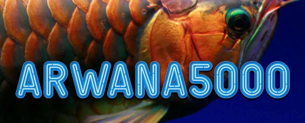 ARWANA5000